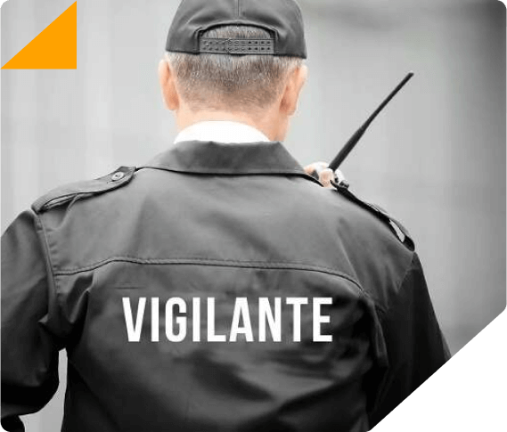 vigilante (1)